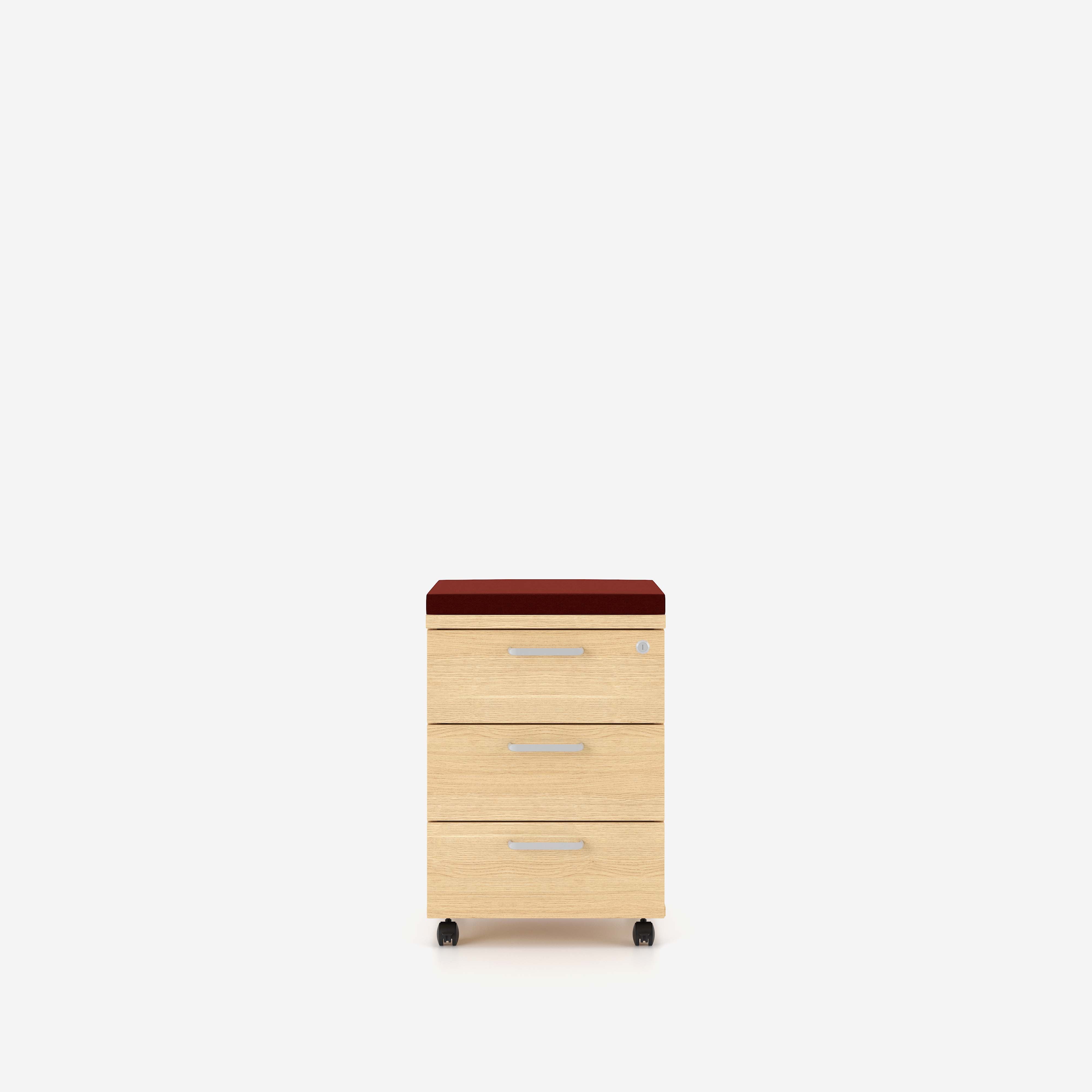 E10 Rollcontainer 3D