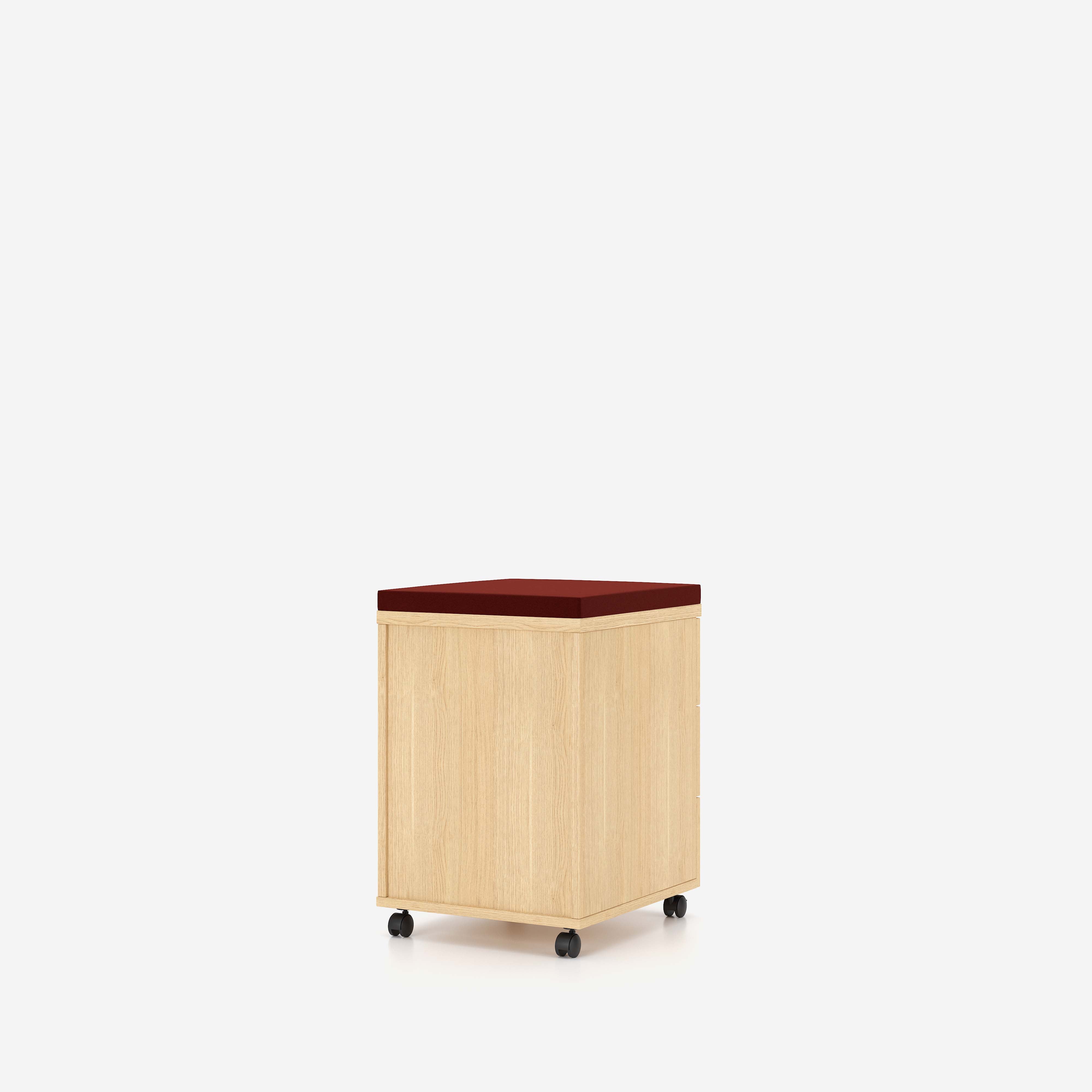 E10 Rollcontainer 3D