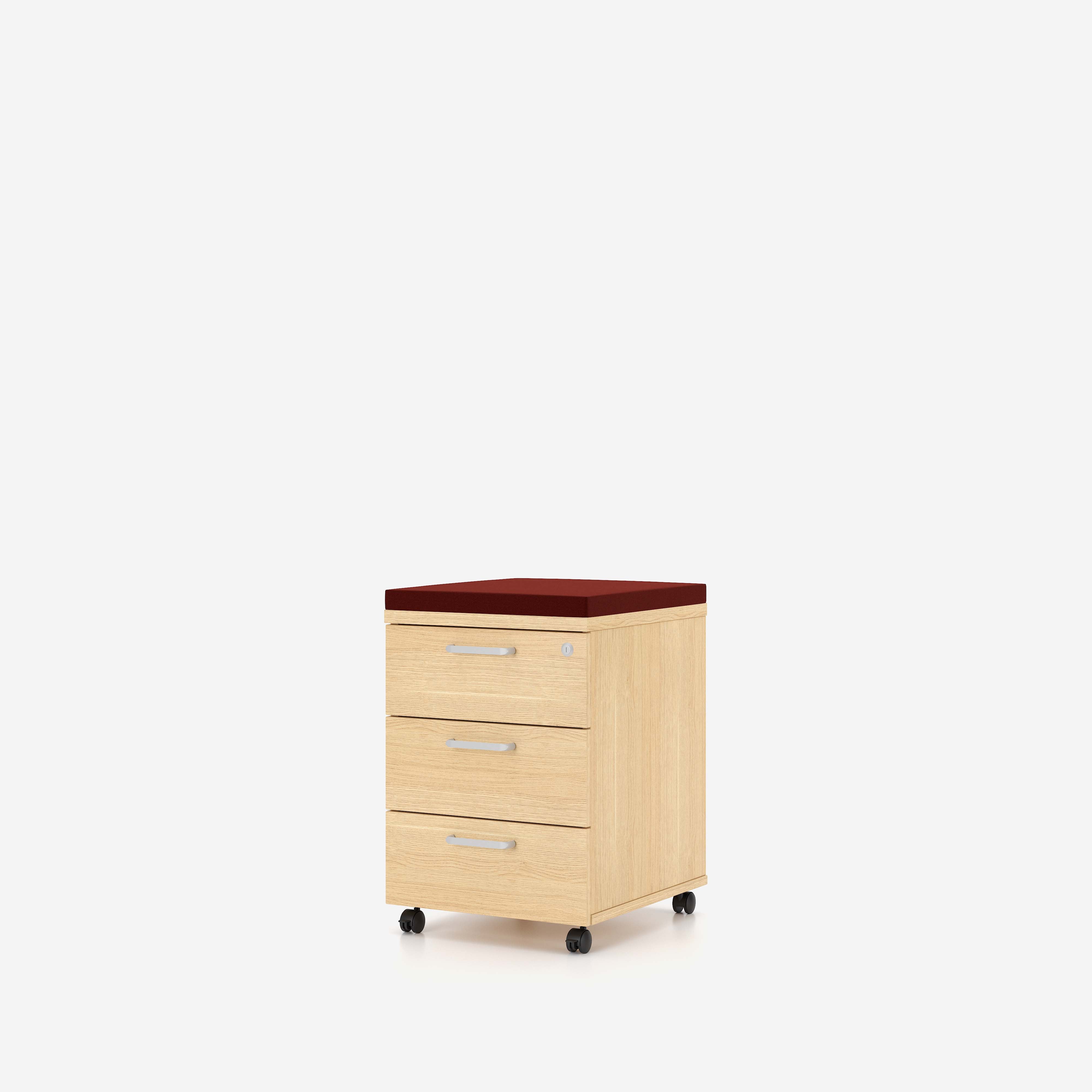 E10 Rollcontainer 3D
