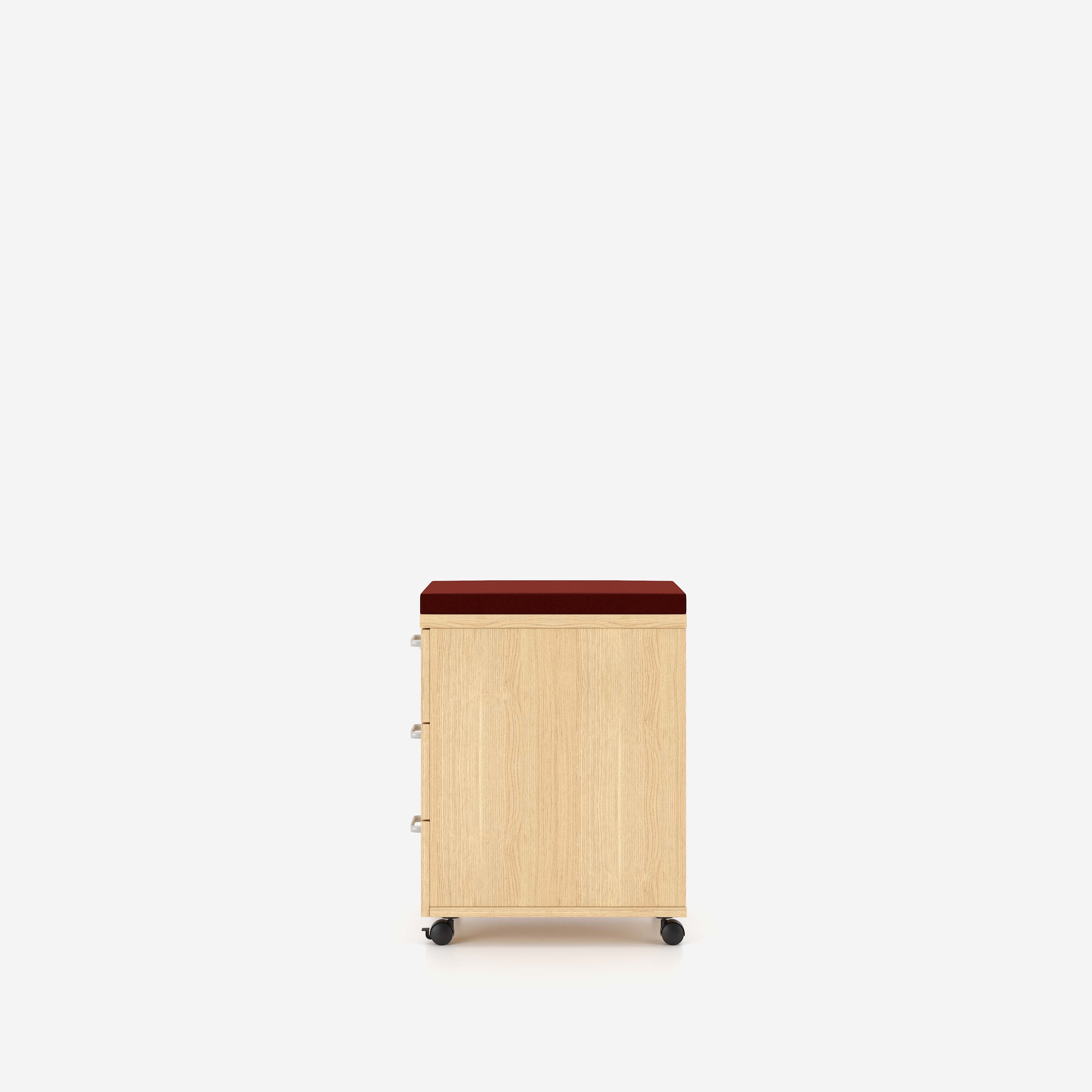 E10 Rollcontainer 3D