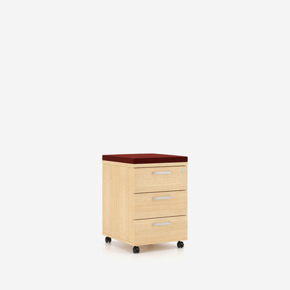 E10 Rollcontainer 3D