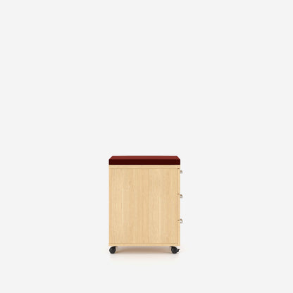 E10 Rollcontainer 3D