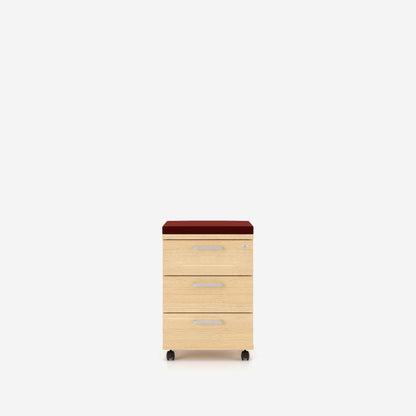 E10 Rollcontainer 3D