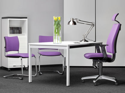 Freischwinger Intrata-V